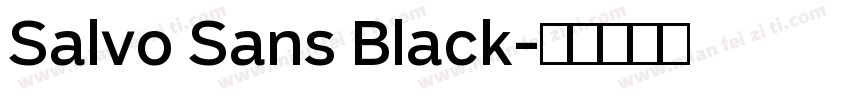 Salvo Sans Black字体转换